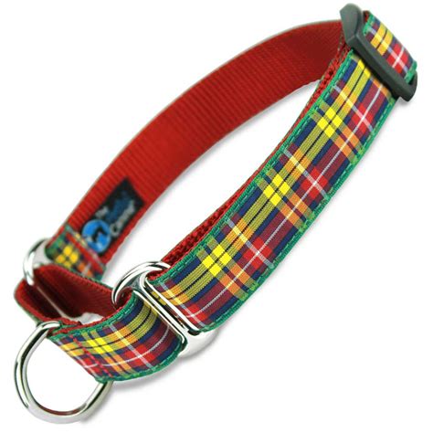 burberry style plaid martingale dog collar